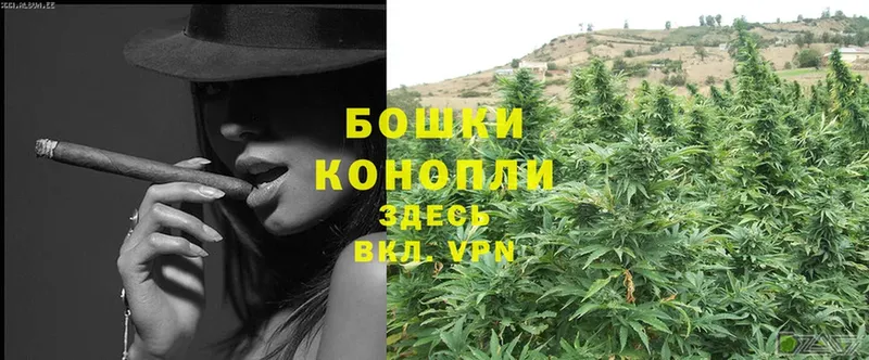 дарнет шоп  Городовиковск  МАРИХУАНА SATIVA & INDICA 